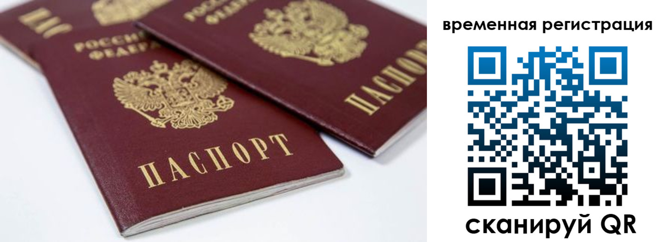 прописка для школы в Ступино